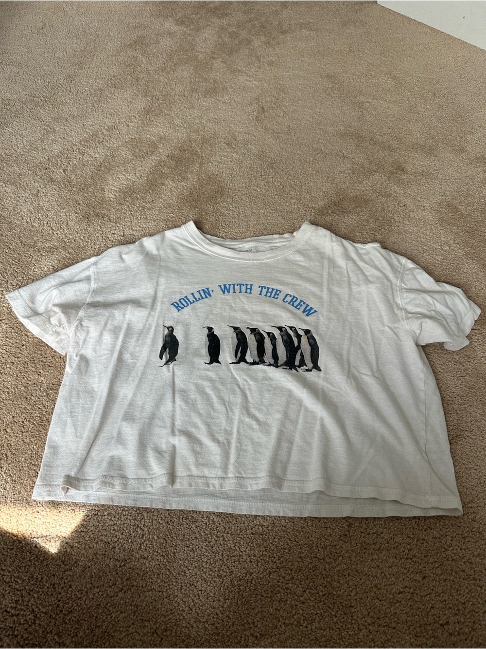 American Eagle Outfitters White Graphic 'Rollin' With The Crew' Penguin Tee